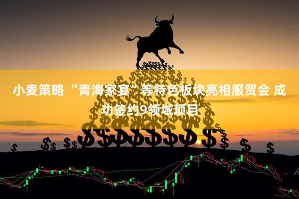 小麦策略 “青海家宴”等特色板块亮相服贸会 成功签约9领域项目